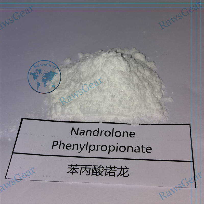 Nandrolone phenylpropionate (NPP) CAS 62-90-8