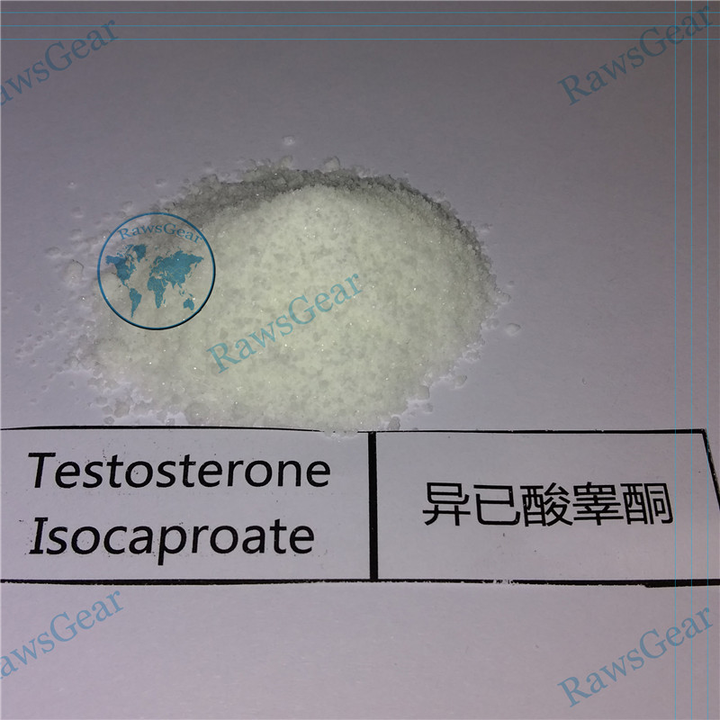 Testosterone Isocaproate CAS 15262-86-9