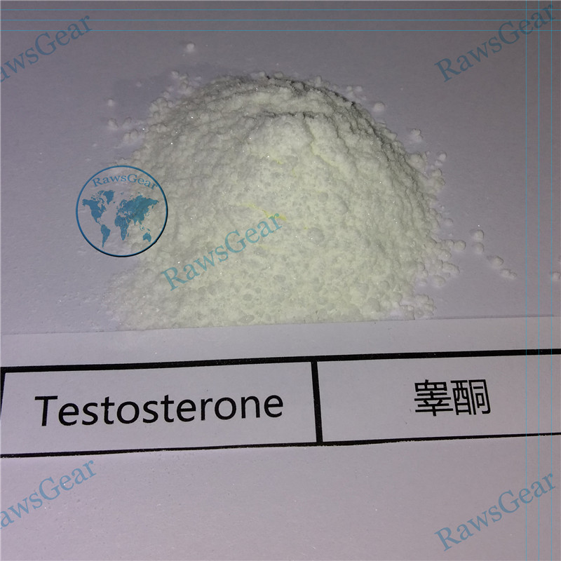 Testosterone Base (Suspension 100mg/ml)